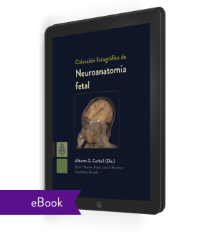 Colección fotográfica de neuroanatomía fetal (ebook)