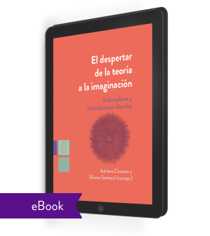 El despertar de la teoría a la imaginación (ebook)