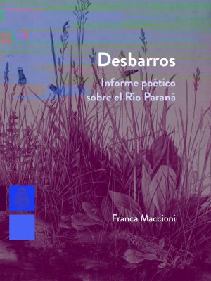 Desbarros
